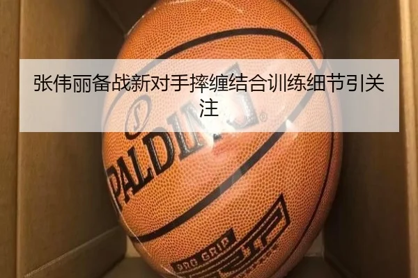 张伟丽备战新对手摔缠结合训练细节引关注(Bandao)